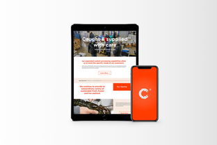 萬域品牌形象設計 以清潔與現代理念重塑生鮮食品企業新形象